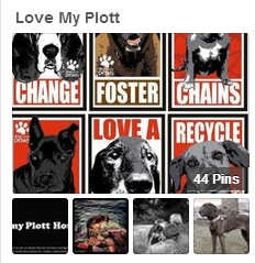 Pinterest - Love My Plott