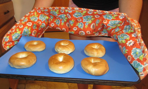 DIY Double Oven Mitts