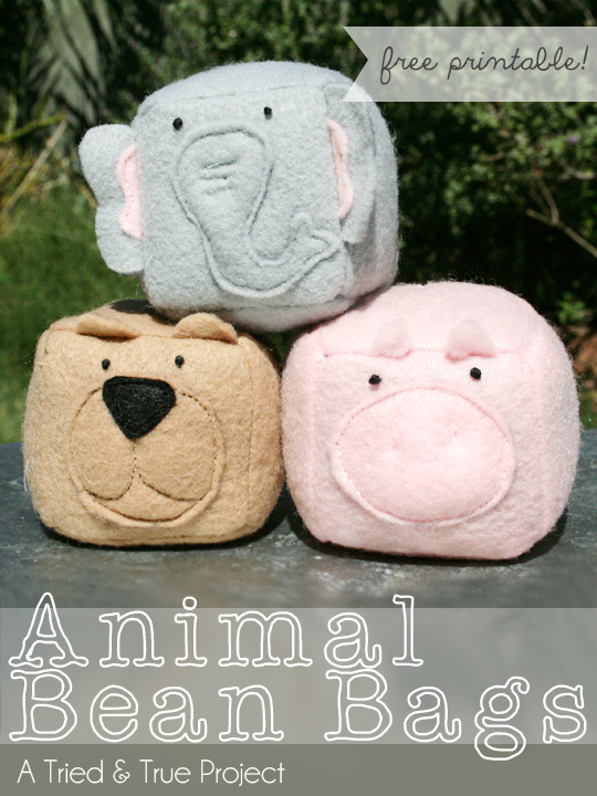 DIY Bean Bag Animals