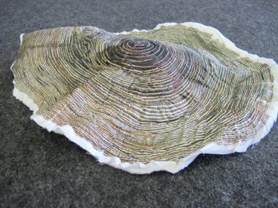 How to Make Realistic-Looking 3-D Tree Rings (and other shapes) - WeAllSew