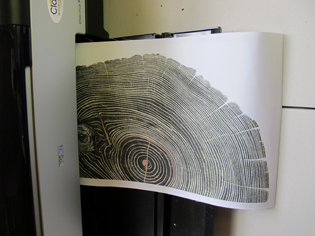 printed half of tree ring