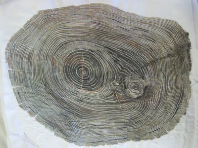 How to Make Realistic-Looking 3-D Tree Rings (and other shapes) - WeAllSew
