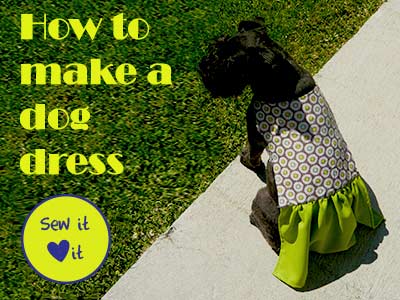 DIY doggie dress