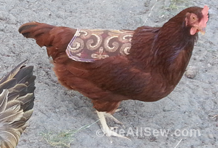 Chicken apron saddle