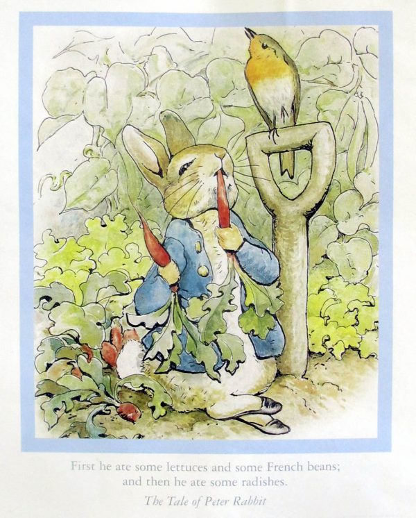 Peter Rabbit calendar page