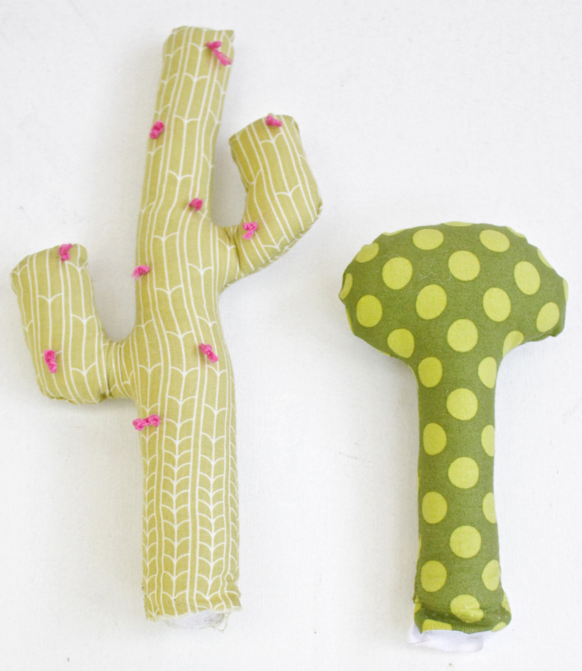 sunny succulents plush