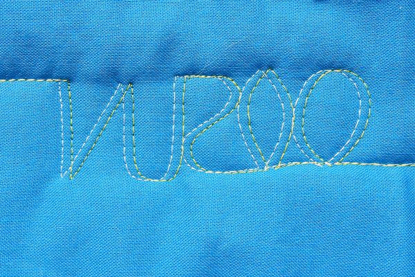 Double Needle Free Motion Quilting Basics