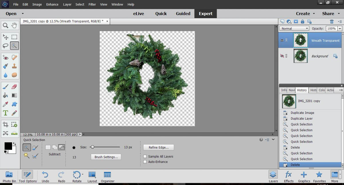 Stitched Photo Ornament-clean up any parts of the background