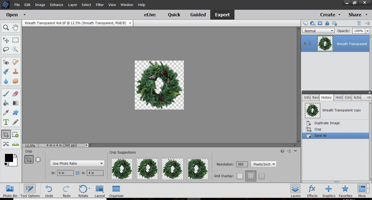 Stitched Photo Ornament-Crop the image to the size that you want