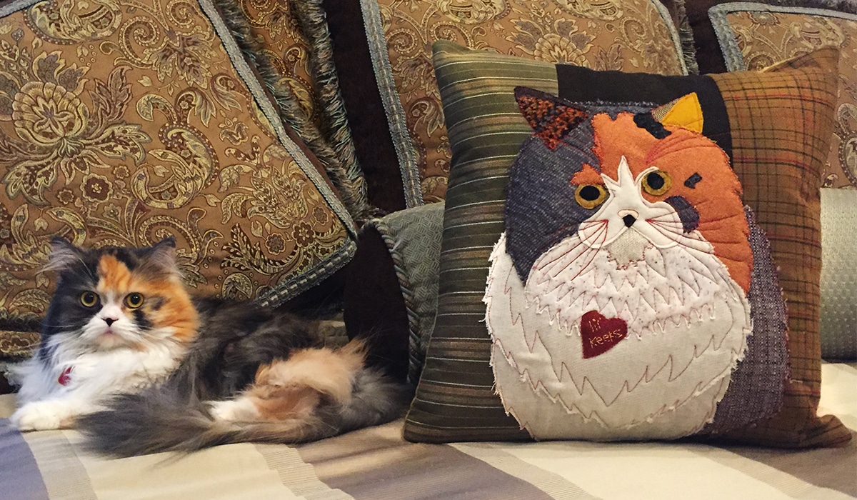 DIY Pet Sewing Projects WeAllSew