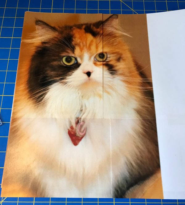 Pet Applique Pillow-printed photo of pet