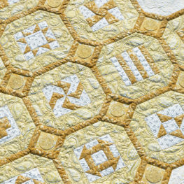 BERNINA 125th Anniversay Quilt-along with Amanda Murphy