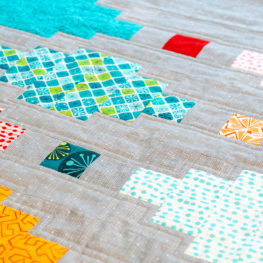 Machine quilting Echo the ditch