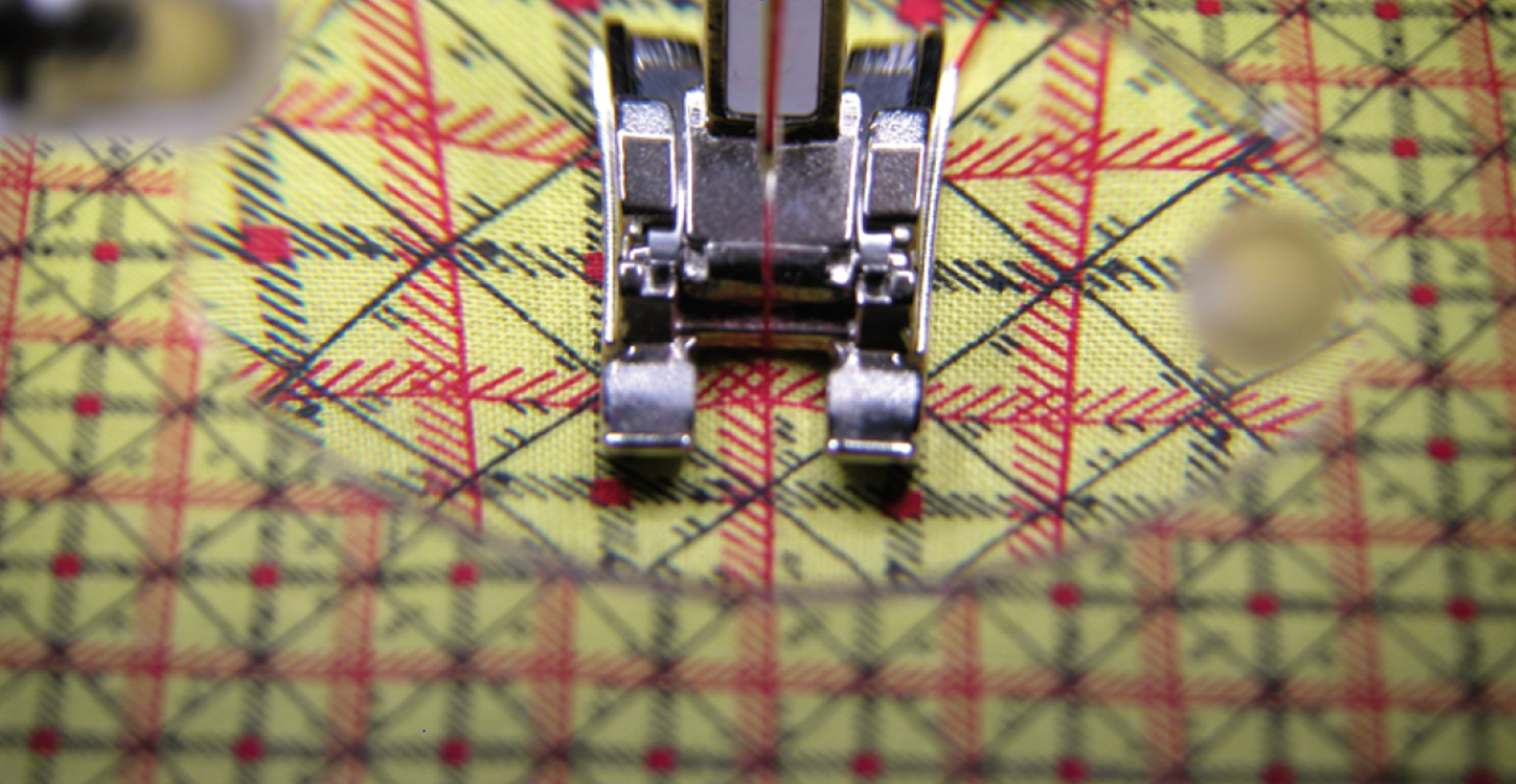 magnified print fabric