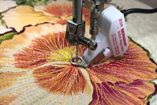 stitching with the BSR