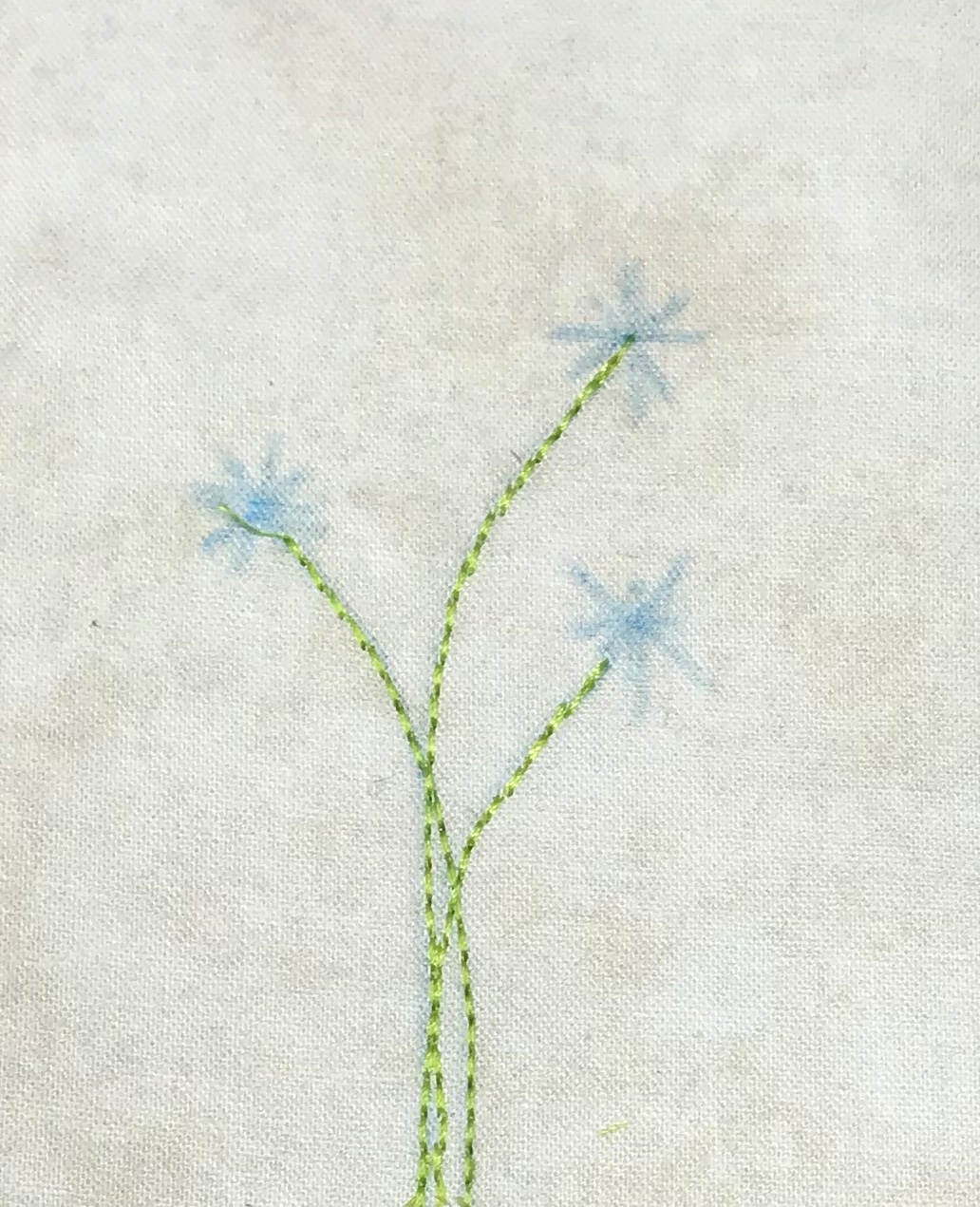 flower stems