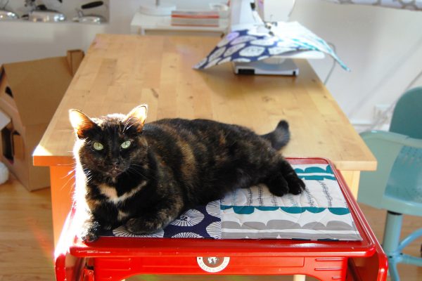 Kennel Quilt Tutorial at WeAllSew