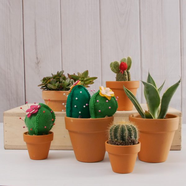 Cactus_Pin_Cushion_tutorial