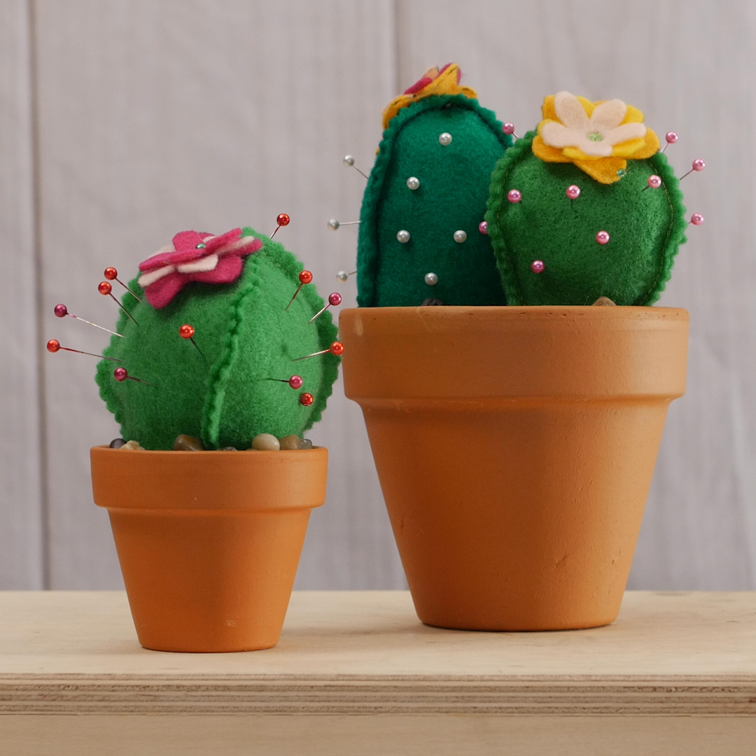 Cactus Pin Cushion Pattern