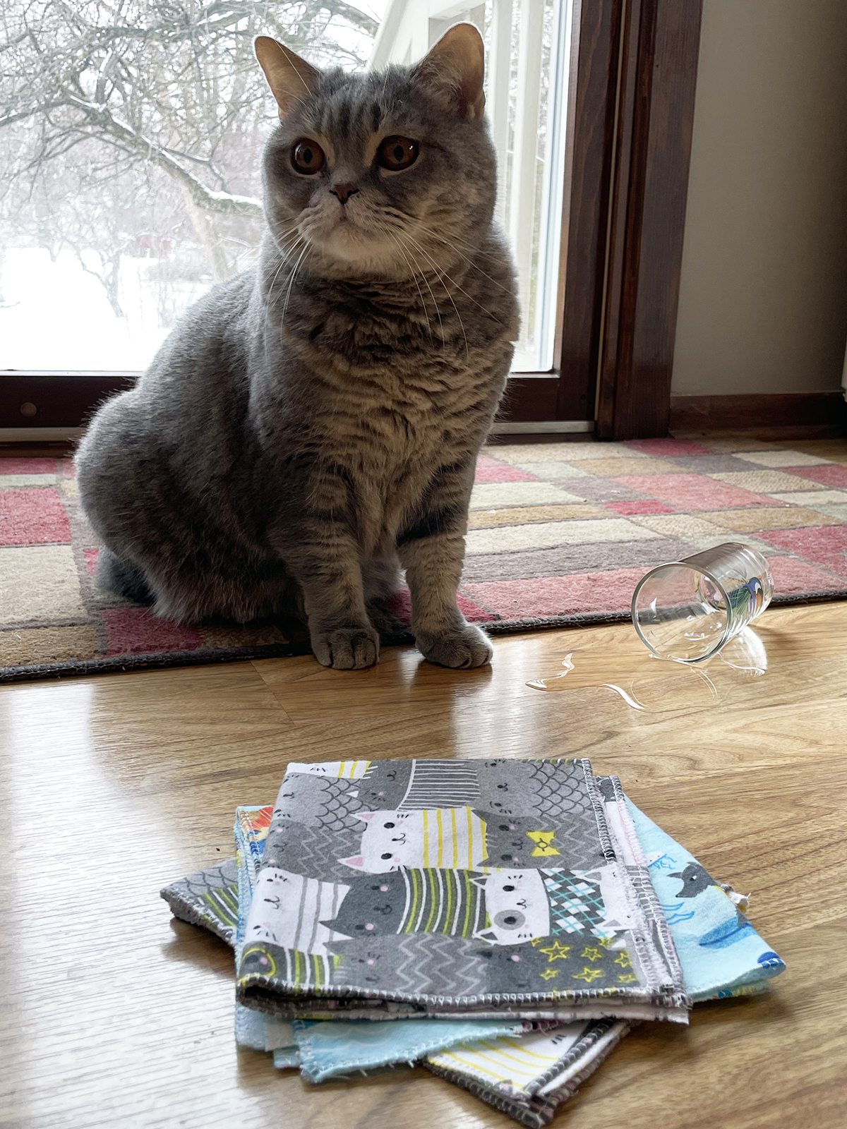 Reusable Towels BERNINA Blog: Cat