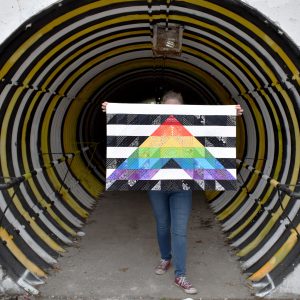 Straight Ally Pride Quilt Tutorial by Erika Mulvenna