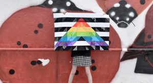 Straight Ally Pride Quilt Tutorial part 2 by Erika Mulvenna