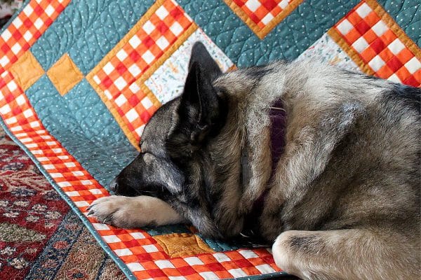 Custom Quilting on a Modern Log Cabin Quilt