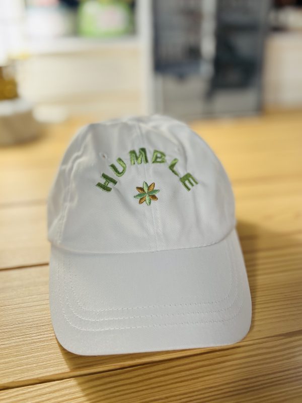 Embroider baseball cap