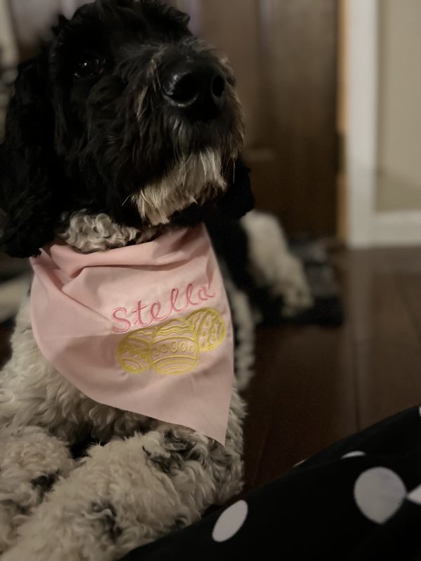 Spring Dog Bandana