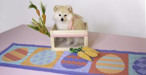 Easter Egg Sew Along slider main BERNINA-WeAllSew Blog