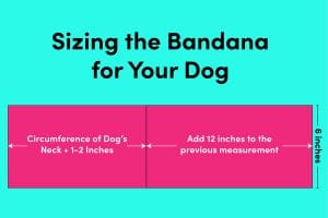 Custom Dog Bandana Size Instruction Diagram BERNINA WeAllSew Blog 1200 x 800