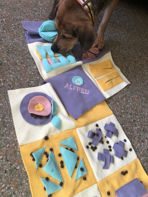 Dog Snuffle Mats (The Complete Guide!)