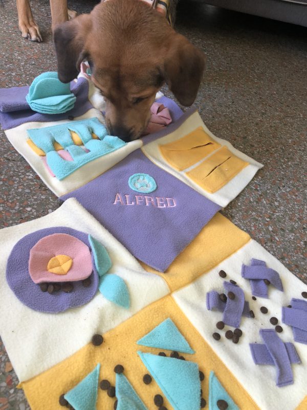 Diy dog activity mat new arrivals