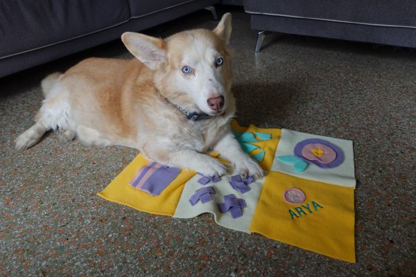 DIY Snuffle Mat for Dogs or Cats - see kate sew