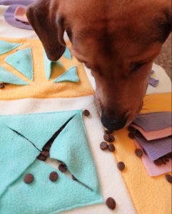 DIY Snuffle Mat for Dogs or Cats - see kate sew