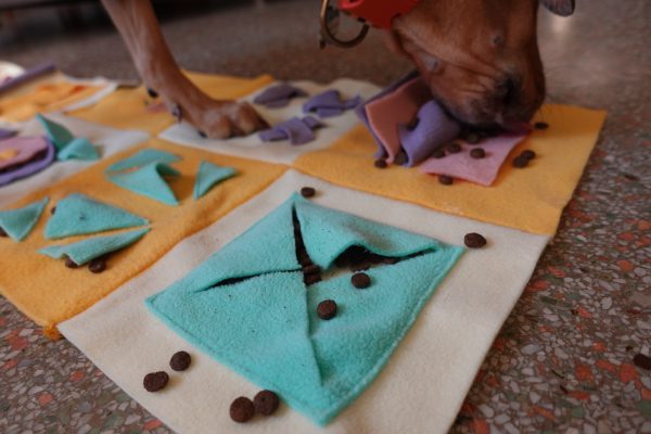 HOPET Snuffle Mat for Dogs Large Breed, Interactive Puzzle Dog Food Mat,  Easy