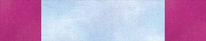 Month_3_Jump_for_Joy_07_topbottomBERNINA_WeAllSew_Blog_1200x240px
