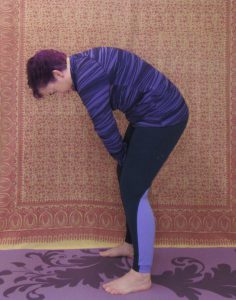 yoga pose cat modified