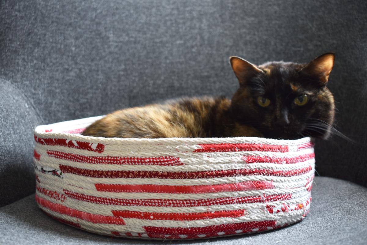 How to Make a Coiled Rope Cat Basket - WeAllSew