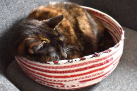 coiled cat basket_featured