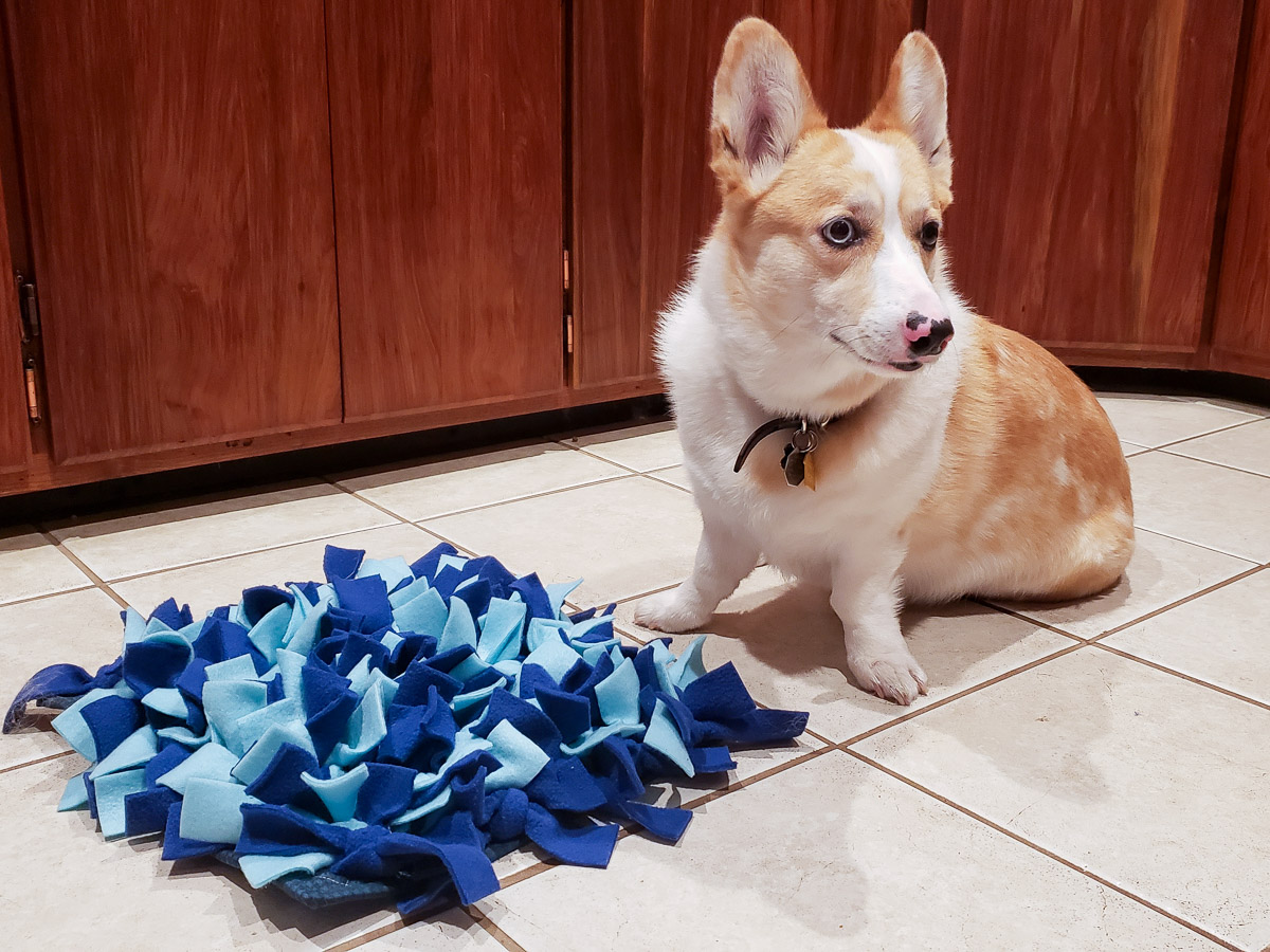 Ruby the dog posing with her snuffles mat