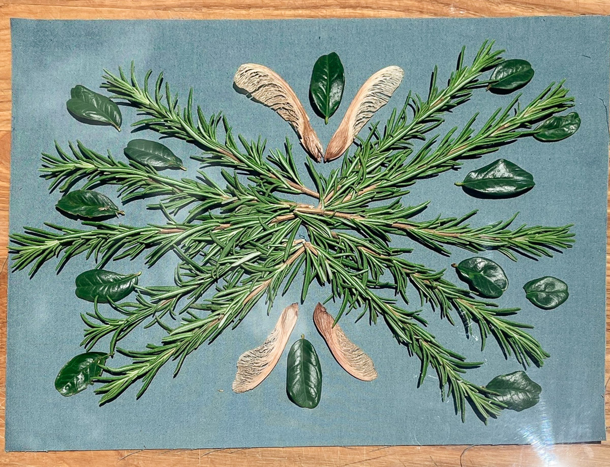 Rosemary and seed pods arranged on pretreated fabric underneath glass