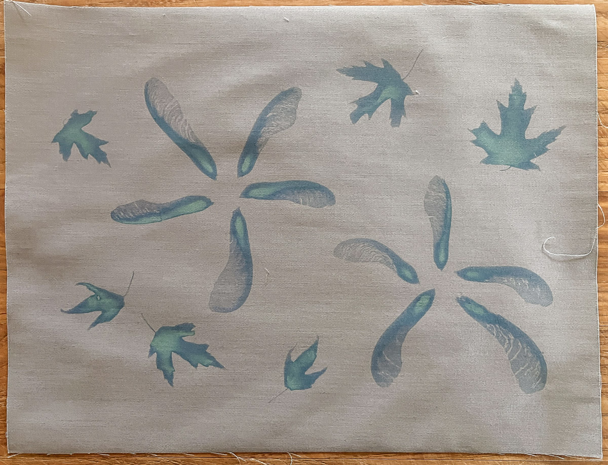 Beige fabric with green imprints of seeds and leaves, post-sun and pre-soak