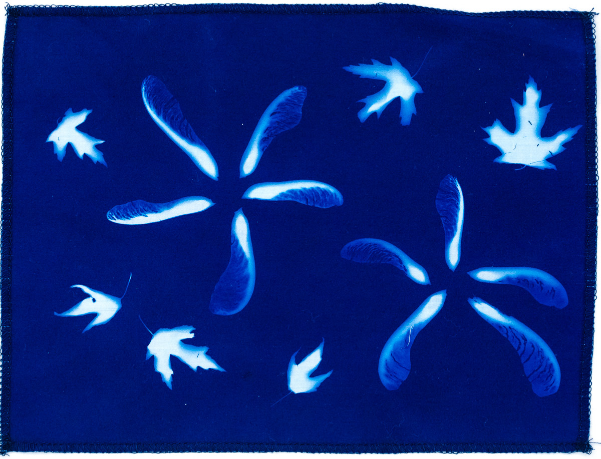 Seed and leaves final result showcasing white imprints on a brilliant blue fabric