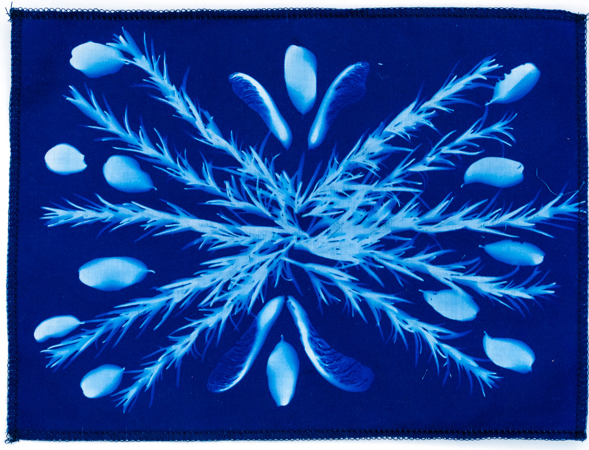 Rosemary and seed pods final result showcasing white imprints on a brilliant blue fabric