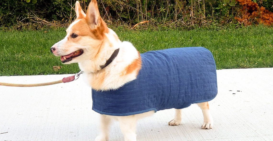 dog coat_slider.jpg