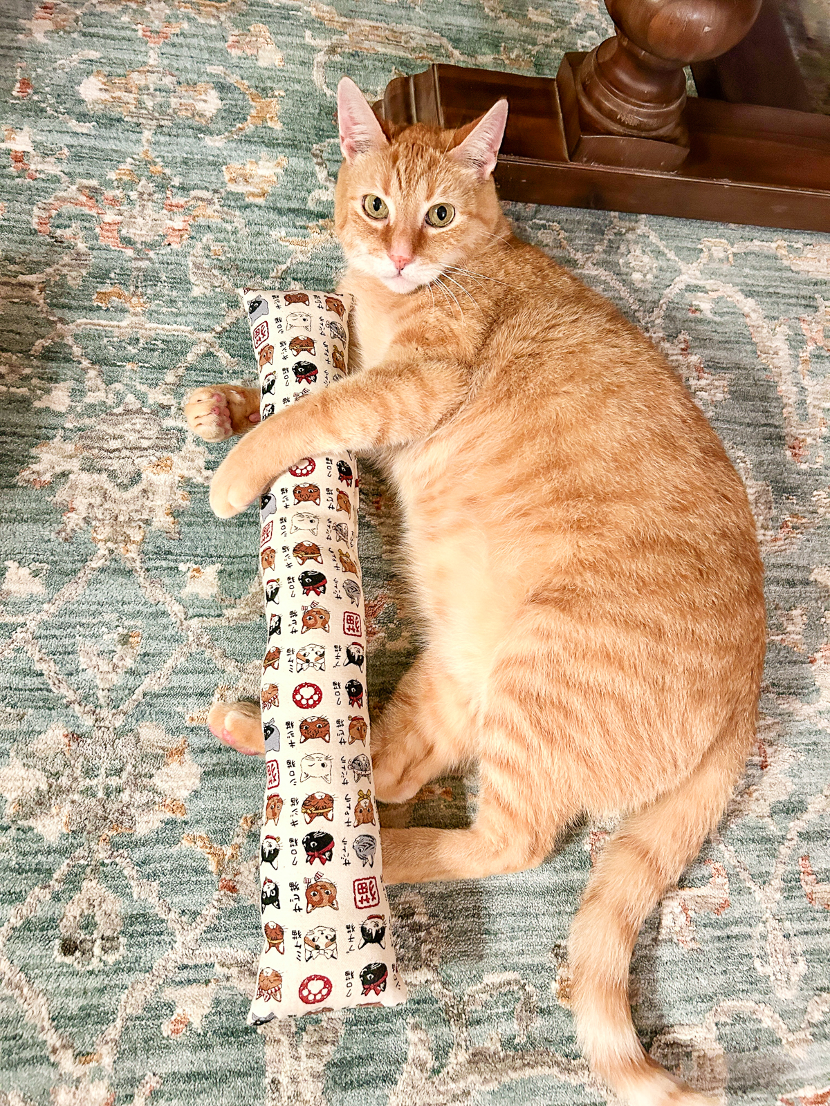 Simba with kitty stick