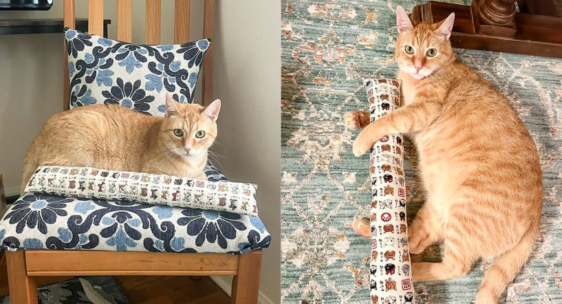 kitty stick_featured.jpg