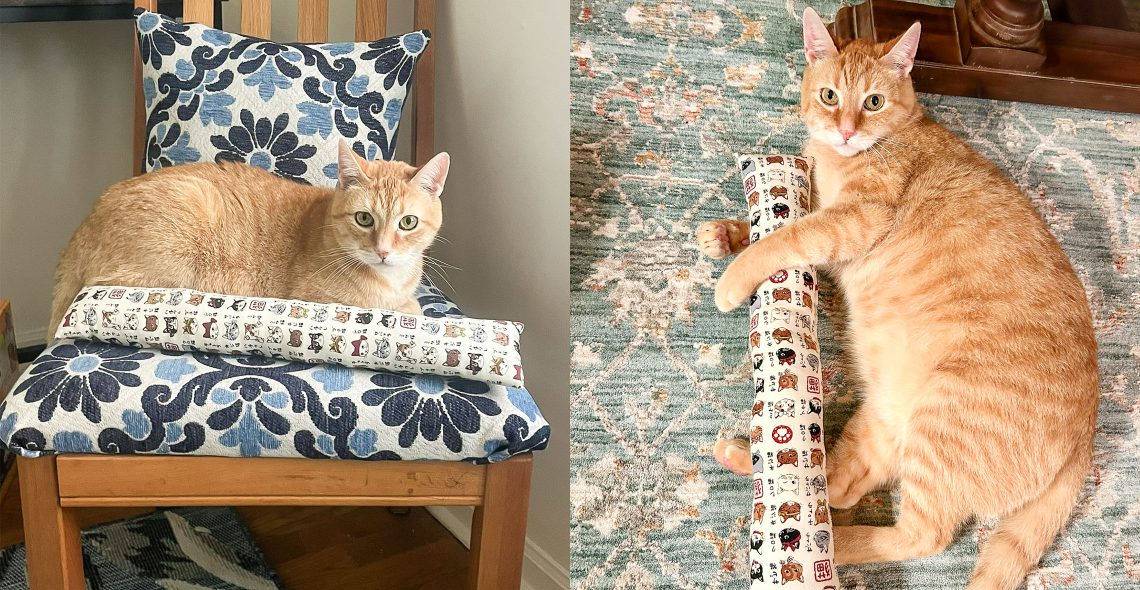 kitty stick_slider.jpg