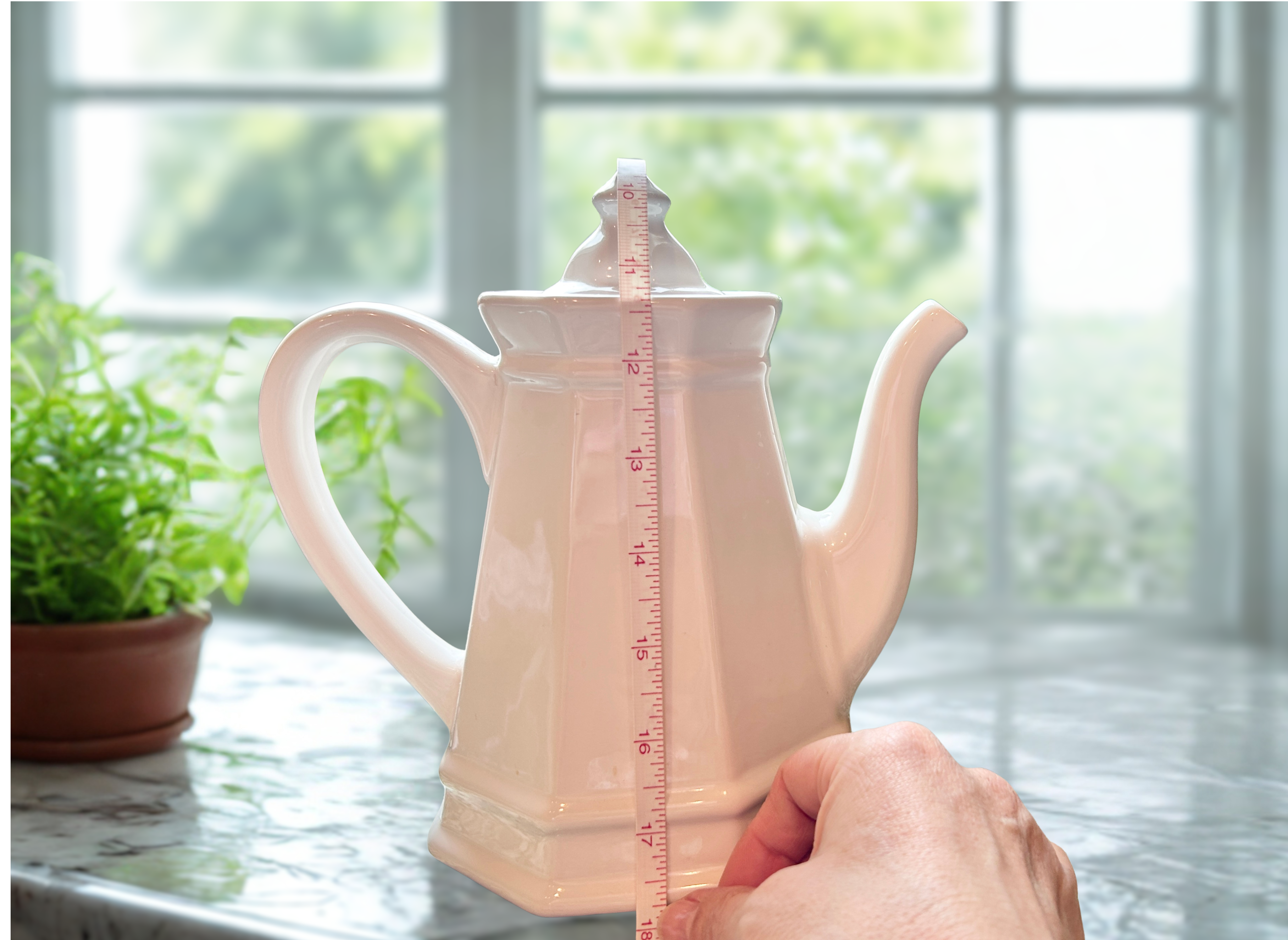 measuring teapot length